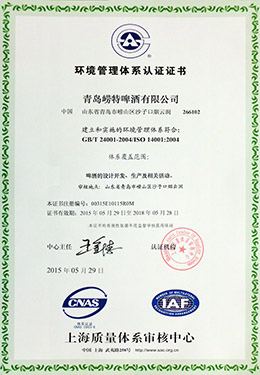 开云-2015年环境管理体系认证证书中文
