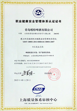 开云-2015年职业健康安全管理体系认证证书中文